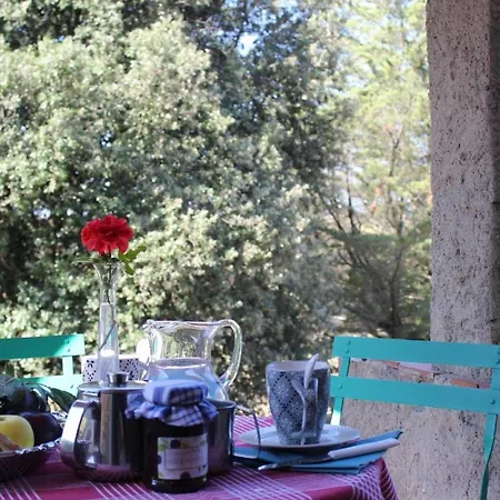 Grosse In Mit Privatem Garten - B44436 Appartamento Castellina Marittima